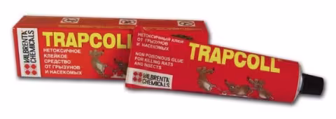 Clei - TrapColl